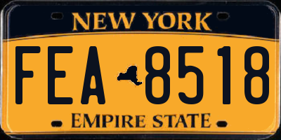 NY license plate FEA8518
