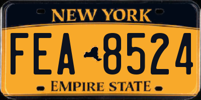 NY license plate FEA8524