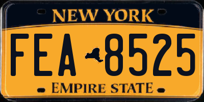 NY license plate FEA8525