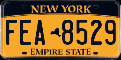 NY license plate FEA8529
