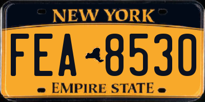 NY license plate FEA8530