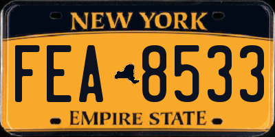 NY license plate FEA8533