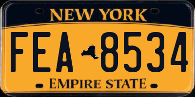 NY license plate FEA8534