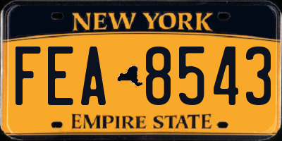 NY license plate FEA8543