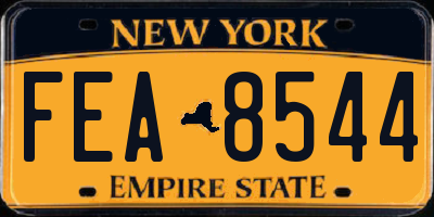 NY license plate FEA8544