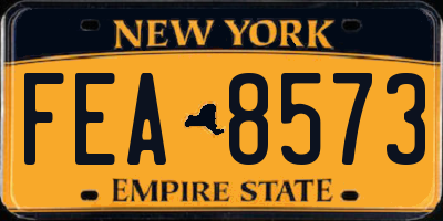NY license plate FEA8573