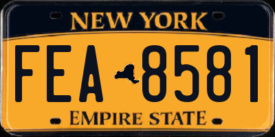 NY license plate FEA8581