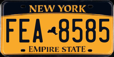 NY license plate FEA8585