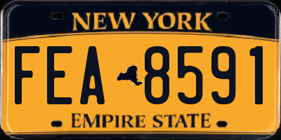 NY license plate FEA8591