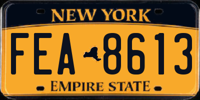 NY license plate FEA8613