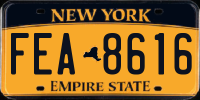 NY license plate FEA8616