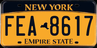 NY license plate FEA8617