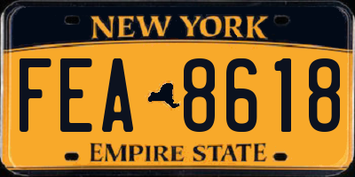 NY license plate FEA8618