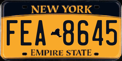 NY license plate FEA8645