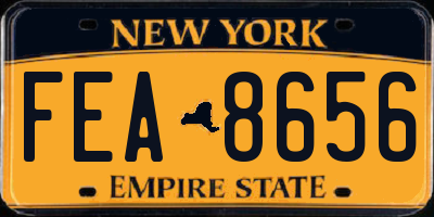 NY license plate FEA8656