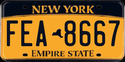 NY license plate FEA8667