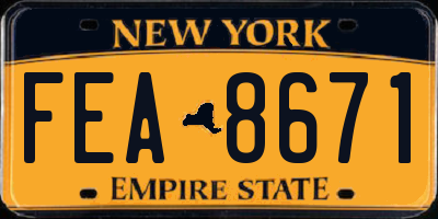 NY license plate FEA8671
