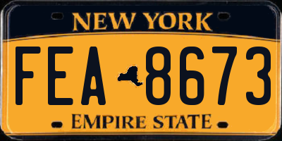 NY license plate FEA8673