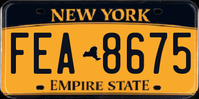 NY license plate FEA8675