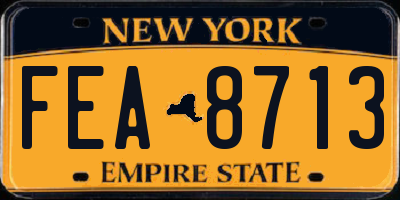 NY license plate FEA8713