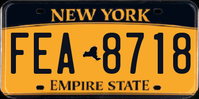 NY license plate FEA8718