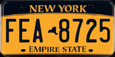 NY license plate FEA8725