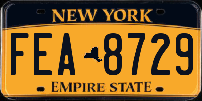 NY license plate FEA8729