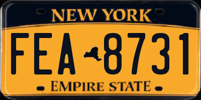 NY license plate FEA8731