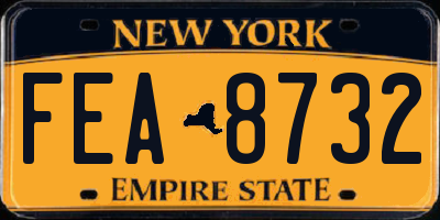 NY license plate FEA8732