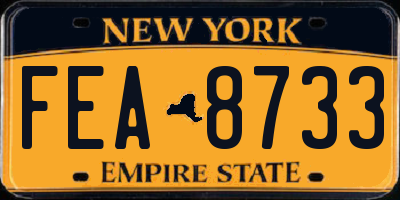 NY license plate FEA8733