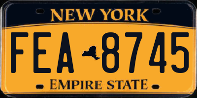 NY license plate FEA8745