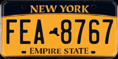 NY license plate FEA8767