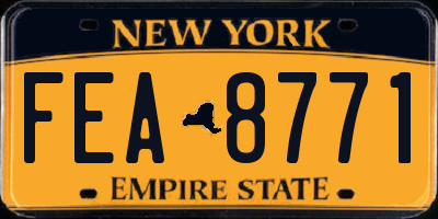 NY license plate FEA8771