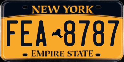 NY license plate FEA8787
