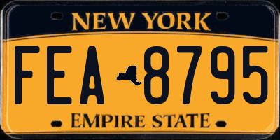 NY license plate FEA8795