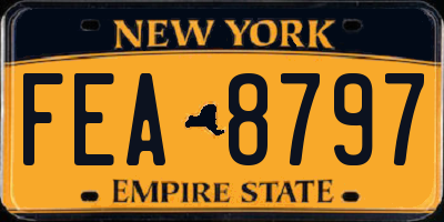 NY license plate FEA8797