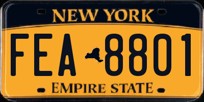 NY license plate FEA8801