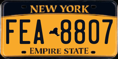 NY license plate FEA8807