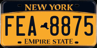 NY license plate FEA8875