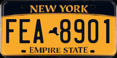 NY license plate FEA8901