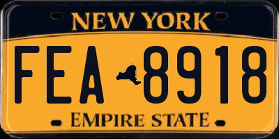 NY license plate FEA8918