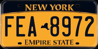 NY license plate FEA8972