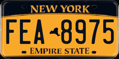 NY license plate FEA8975
