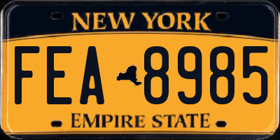 NY license plate FEA8985