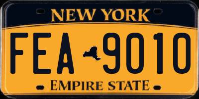NY license plate FEA9010