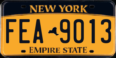 NY license plate FEA9013