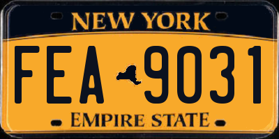 NY license plate FEA9031