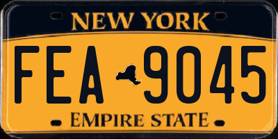NY license plate FEA9045