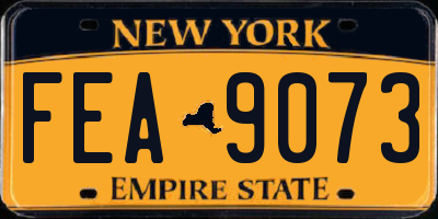 NY license plate FEA9073