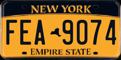 NY license plate FEA9074